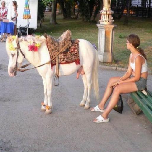 ce vrei...e ponei