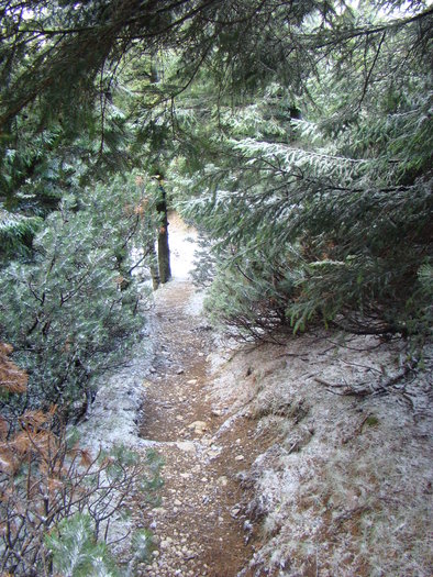 DSC04621