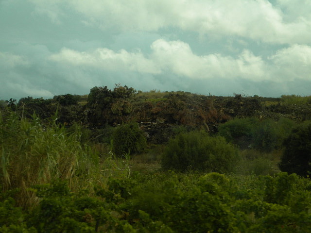 DSCN1672