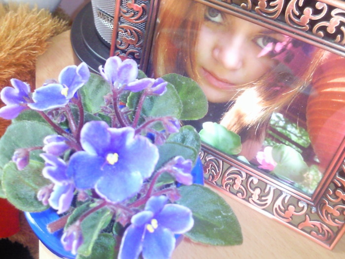 minivioleta and me:D - violete