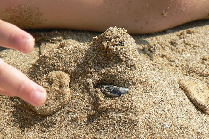 P1100698 - 2008 07 mare