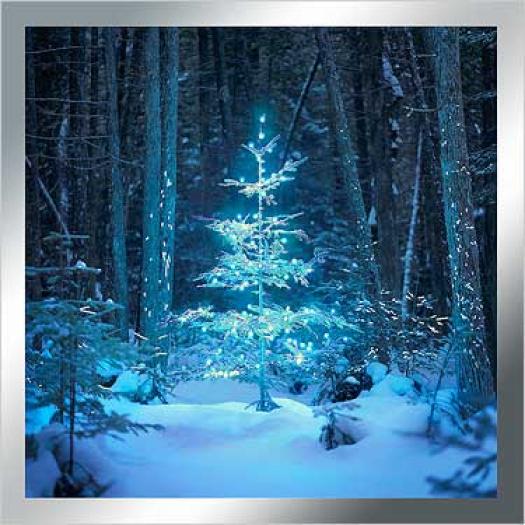 1px3207_60sq1_xxl - Craciun