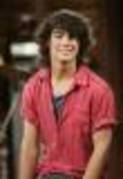 Camp-Rock-1218804002 - poze