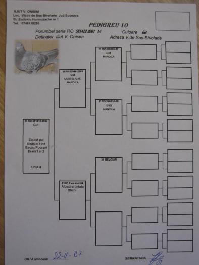 RO 581412-2007 M - 8-pedigree