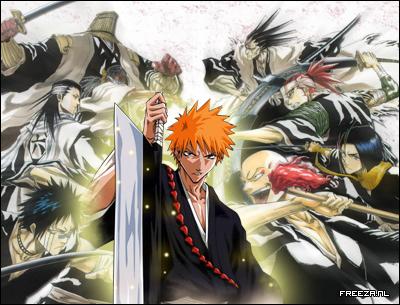 bleach[1]