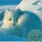 avatare_gratuite_5ea8718c13ee47923ea58cbd72c5e08f