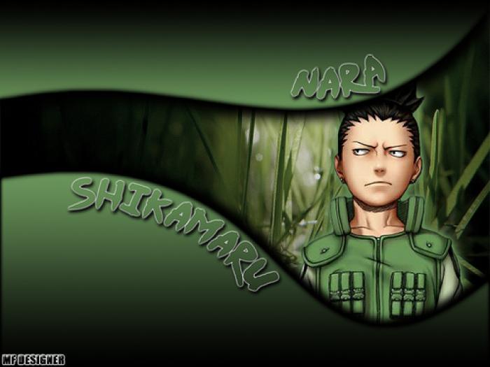 nara_shikamaru; hwhwhjkut
