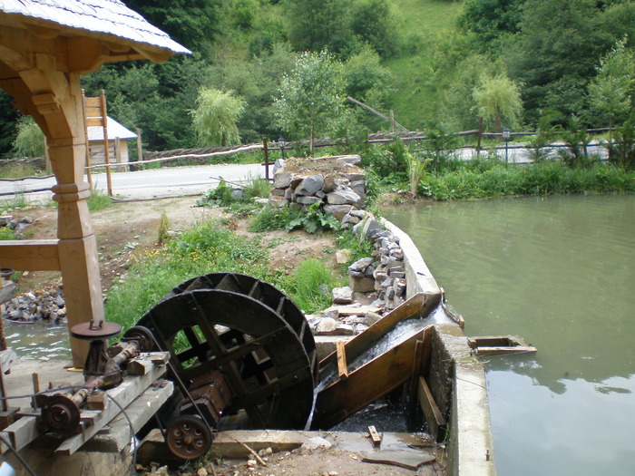 P6030136 - alta pastravarie din maramures