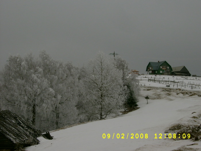 S3600012 - Iarna la munte
