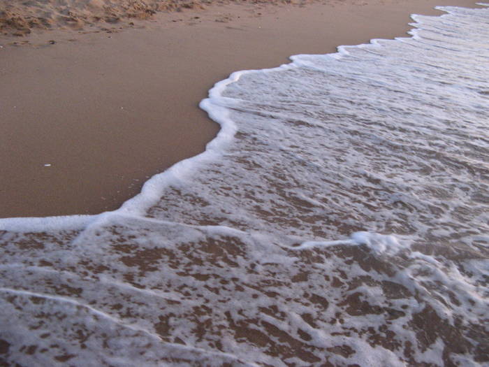 008 - rasarit 09 aug 2009