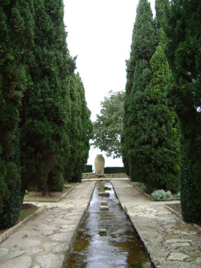 DSC07203; ..RATACIND PE ALEI..
