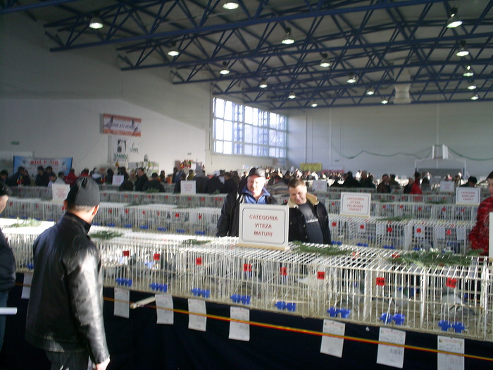 S4021403 - v  EXPO  BRASOV 2010