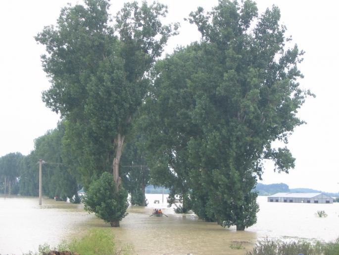 inundatii (66)