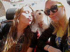 me kiss a puppy