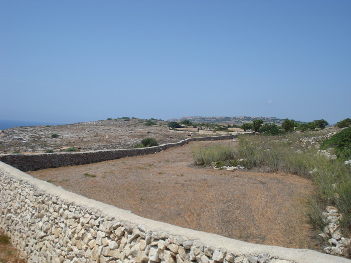 DSC04496
