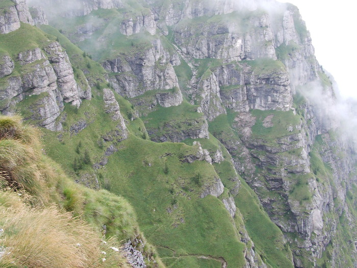 2009_08190572; Romania
