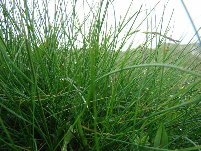 DSC03813 - Concediu 2009