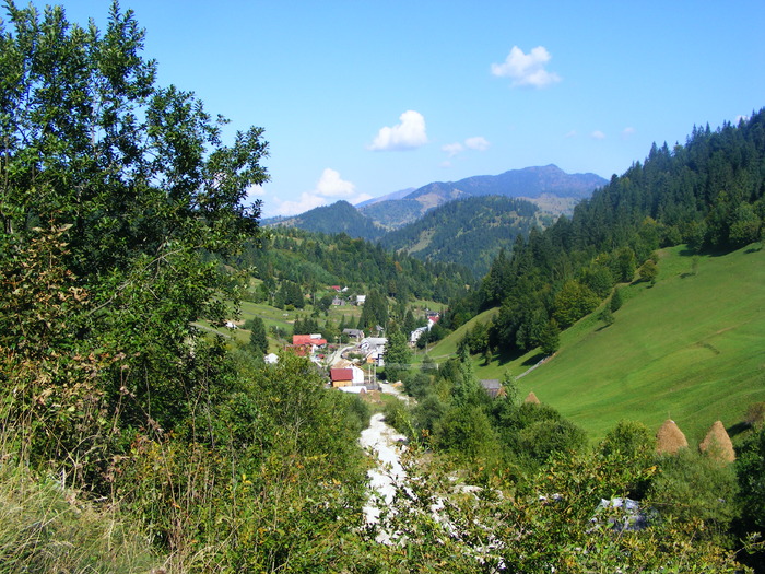 DSCF6294 - muntii Rodnei