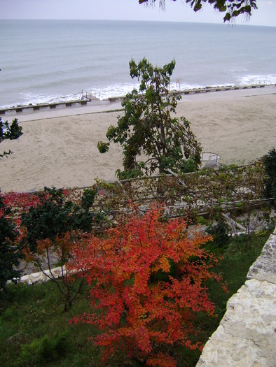 DSC07221; SI IARASI E TOAMNA PE ALEI
