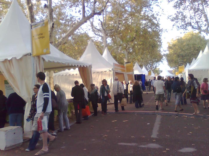 corturi ca la romi - ApiMondia