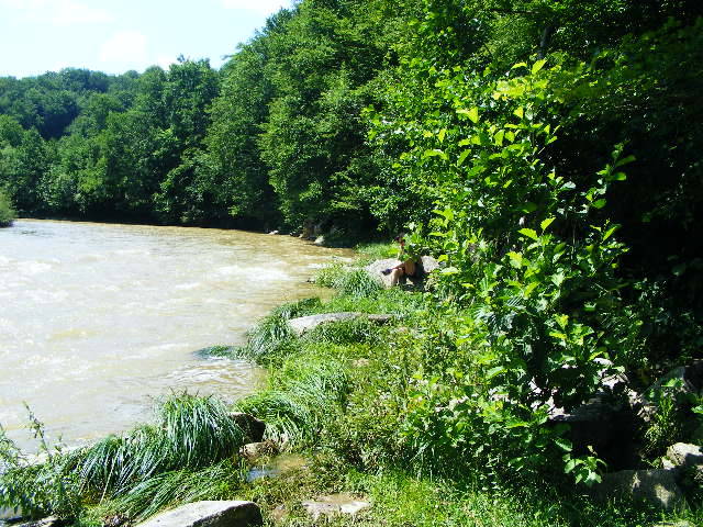 DSCF2466