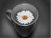 864141 - desene desenatori