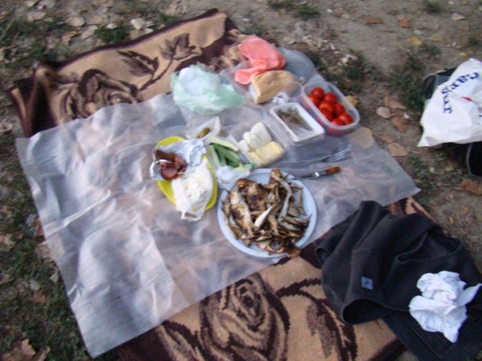 DSC02230