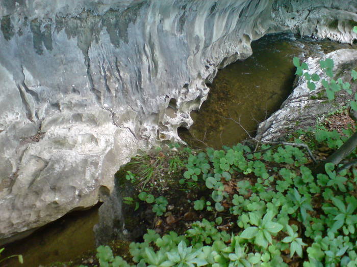 DSC01750