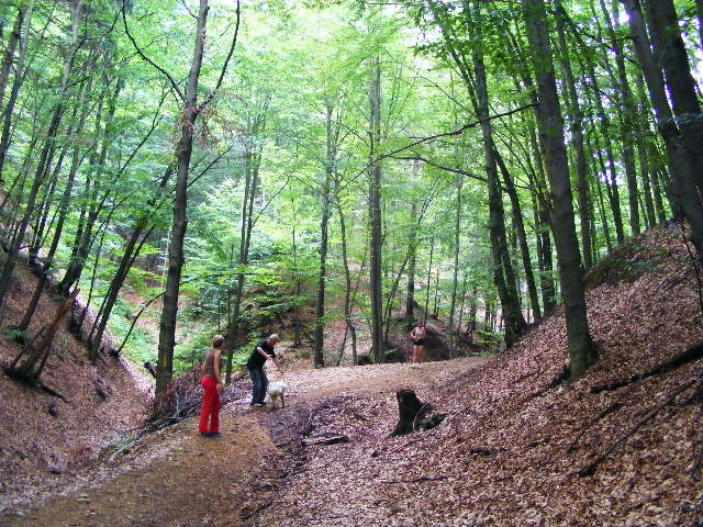 DSCF4888 - Firiza_Maramures