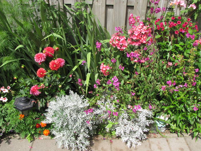 gr.sp.13 iul 2009 (4)