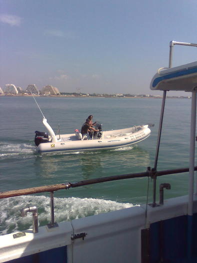 negresa in sanii goi - ApiMondia