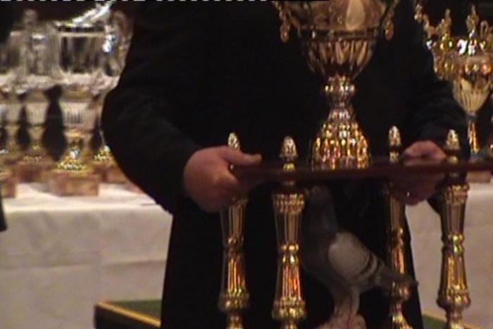 Image_1215-0958(CVBS)[3]