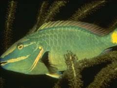 105 - poze muuuuuuuuuuuuuulte