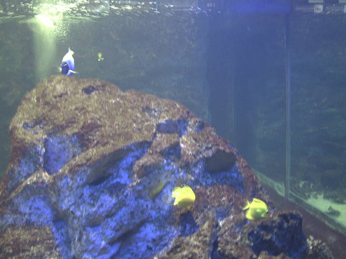 PICT0136 - EXCURSIE  in DELTA