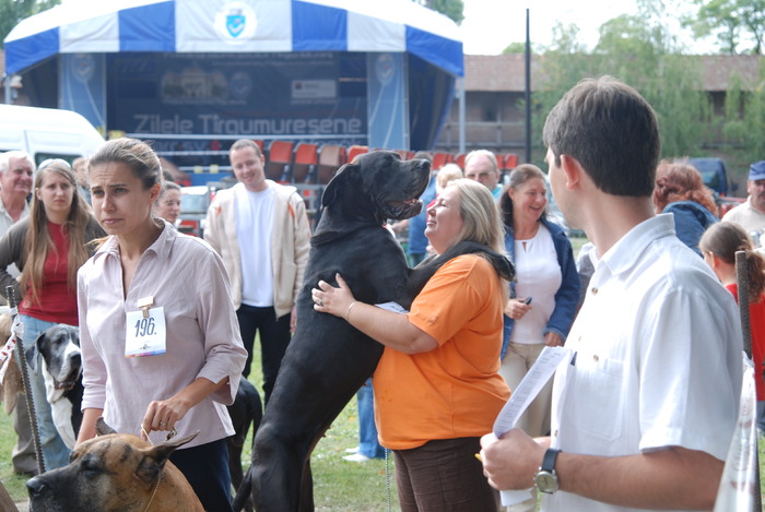DSC_0169 - Concurs international de frumustete canina 2009 TgMures
