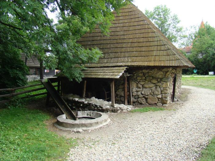 DSC02078 - Concediu 2008