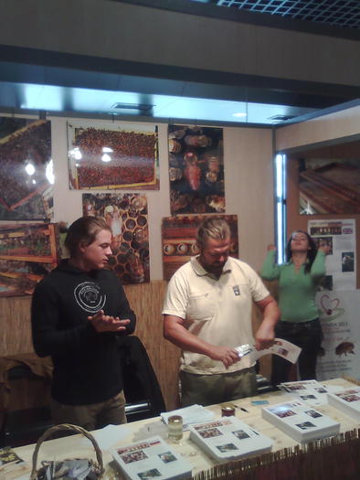 Imagine1111 - ApiMondia