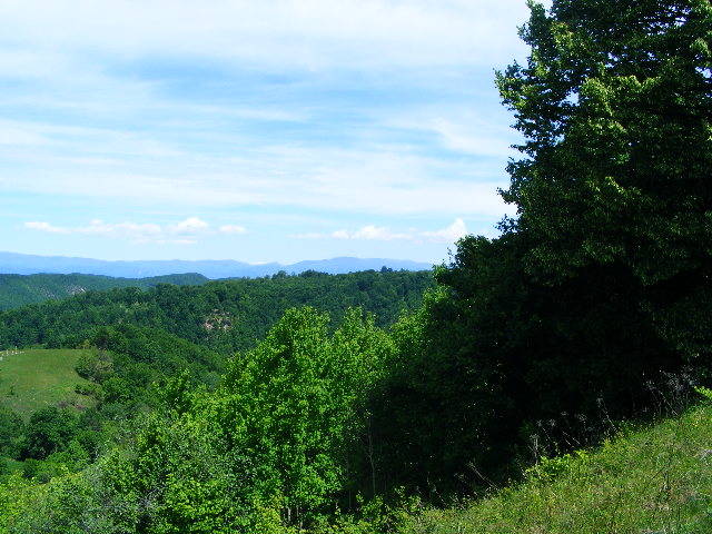 DSCF0543