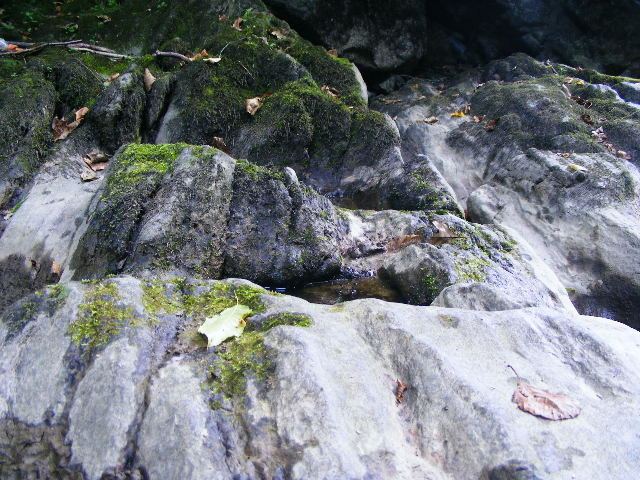 DSCF5078