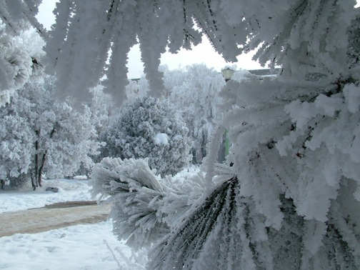iarna-blog1 - Iarna