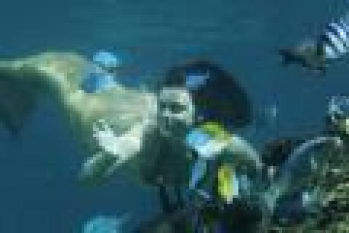 H2O_Just_Add_Water_1221998044_2006; Cleo
