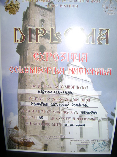 expo nationala bistrita 2009 - Diplome si Medalii