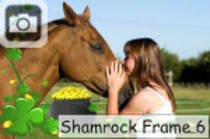 shamrockframe6