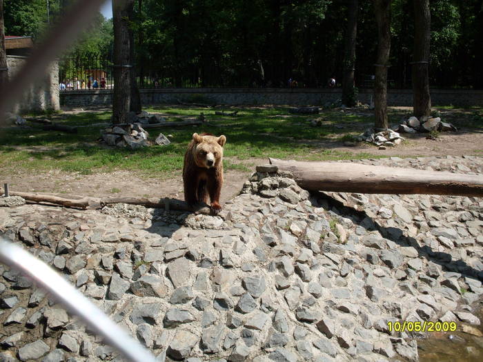 SDC10094 - Gradina zoologica tm