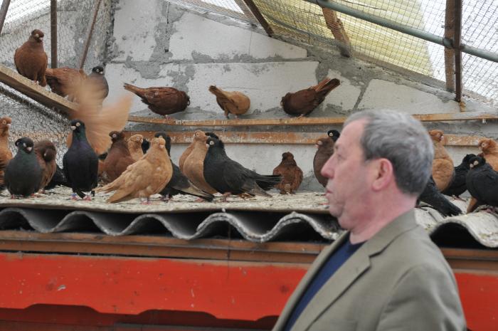 Picture 136 - jucatori de constanta