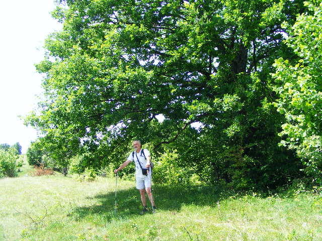 DSCF0553