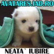 animale_17 - Animalute dragute