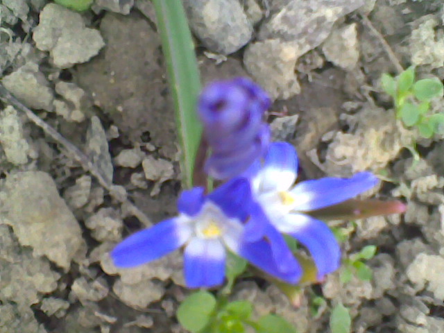 Imag002