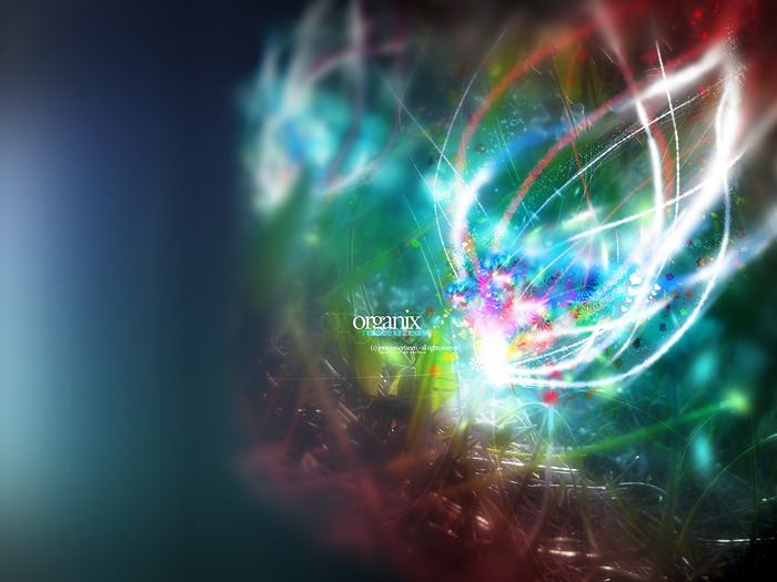 NetWork (113)