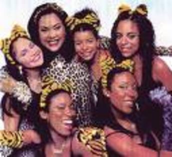 ptdff - the cheetah girl